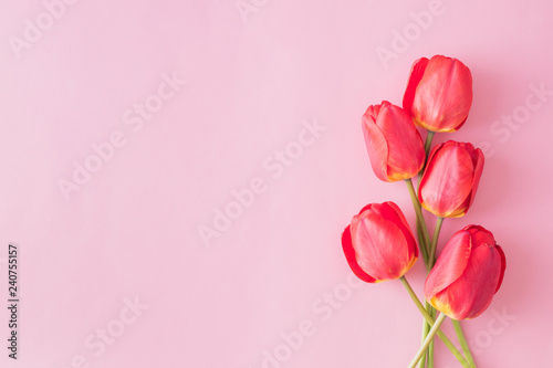 Floral frame with red tulips