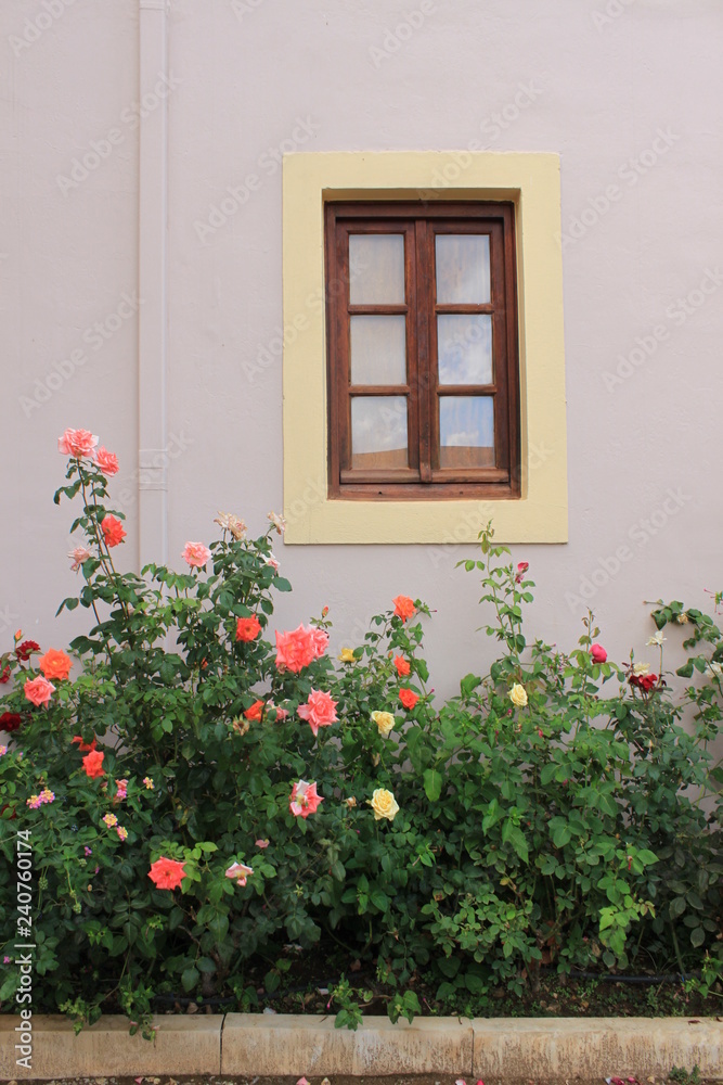 Window in roses