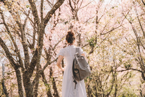 portrait of young asian woman with scenery of wild Himalayan cherry blossoms, trees, field and forest
