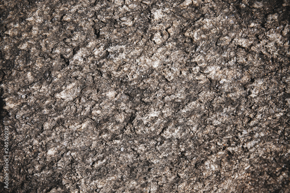 Close-up old aged rustic tree bark in dark color with natural pattern for use as abstract grunge nature background Close-up old aged rustic tree bark in dark color with natural pattern for use as abstract grunge nature background