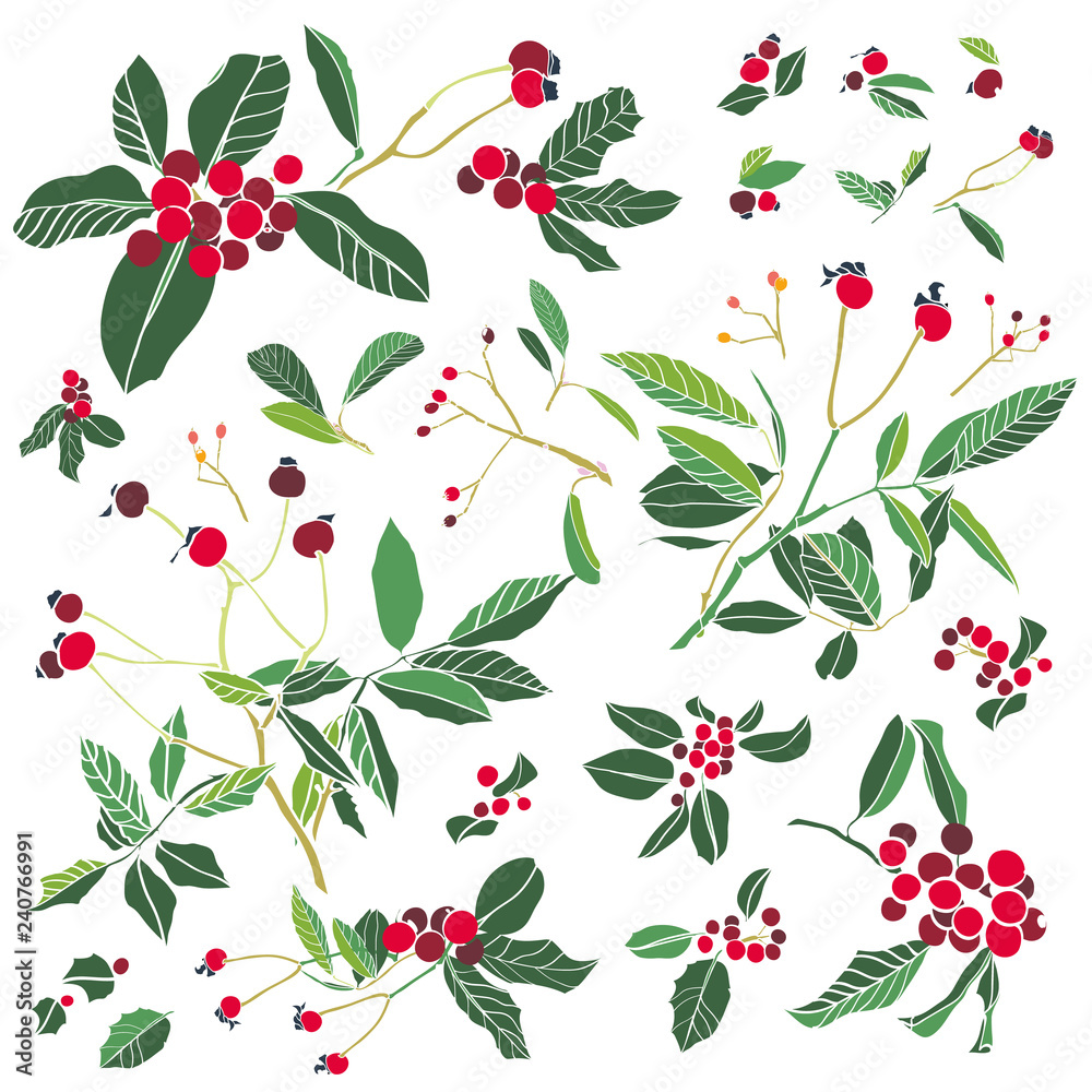 Rose plant and holly. Winter berry Christmas kit. Illustartion. Surface pattern design. Rose plant and holly. Winter berry Christmas kit. Illustartion. Surface pattern design.