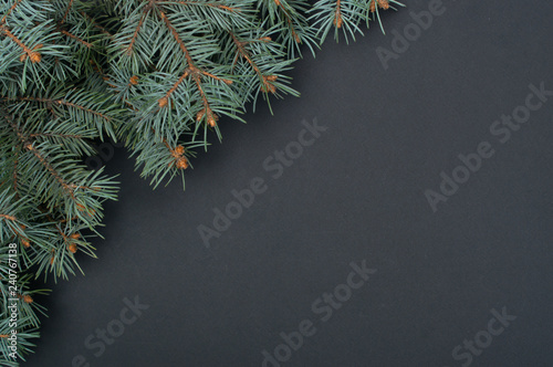 Creative decoration pattern with Christmas tree branches. Concept