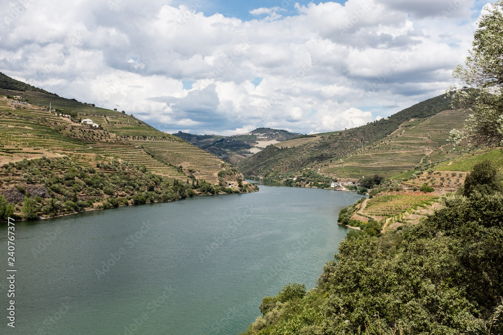 Fototapeta premium Douro Valley in Portugal