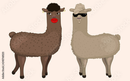 Hand drawn illustration of two cute llamas in cartoon style. Stylized brunette and blonde alpacas isolated. Creative characters with accessories. Funny view on wildlife. Ideal for any design.