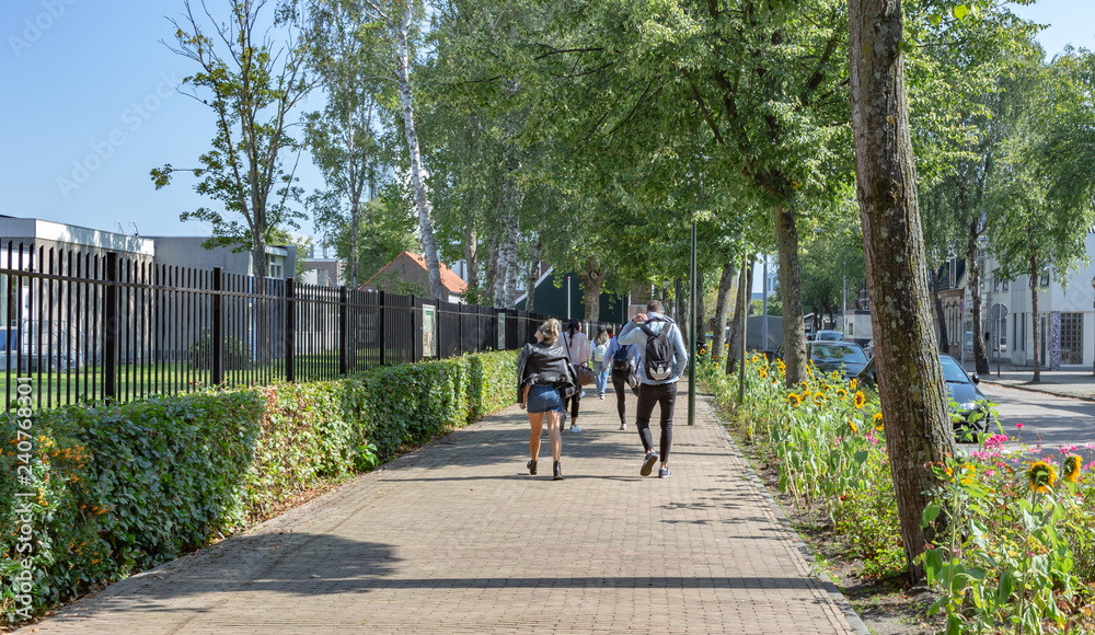 Naklejka premium Outskirts of Amsterdam