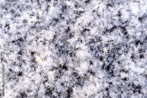 Macro image of snowflakes at sunset. Winter background