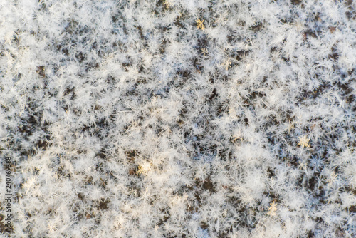 Macro image of snowflakes at sunset. Winter background © dima