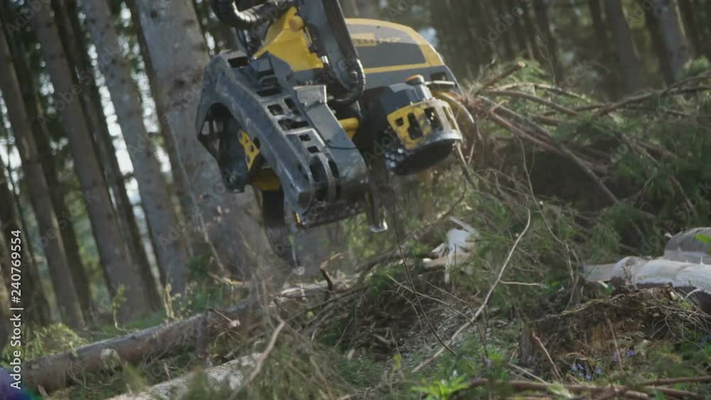 Harvester head vehicle cutting trees Harvester head vehicle cutting trees
