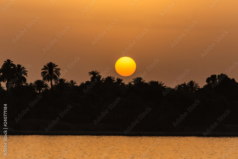 Obraz premium Egypt Nile river view at sunset with tropical palm tree silhouette and distant colorful sun going down