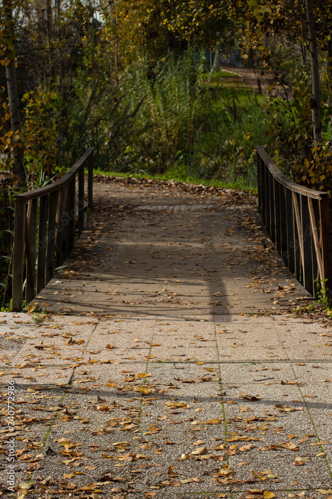 wooden bridge in the park, ground with dry leaves, autumn