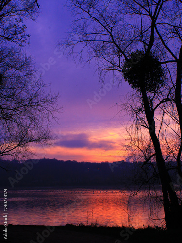 Extraordinary sunset with gradient colors in the countryside with a lake and tree. Mistletoe ball over the water with purple and pink clouds in the dramatic sky