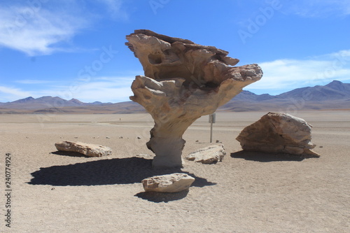 Bolivia  Nature  Desert  Stone Tree