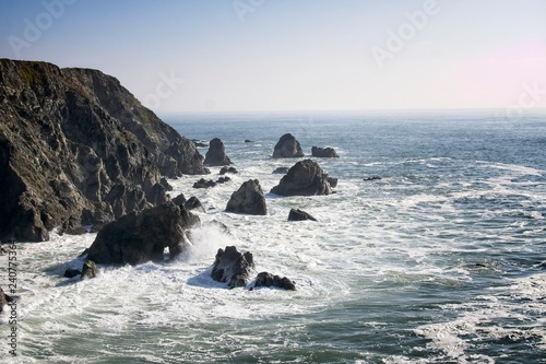 Bodega Point offers incredable views of the rocky coastline, with the power of the waves being demonstrated by the hole cut into the rock just of the coastline. photo