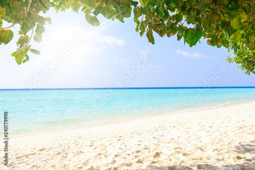 Fototapeta Naklejka Na Ścianę i Meble -  tropical Maldives carribean island with white sandy beach and sea and palm trees 