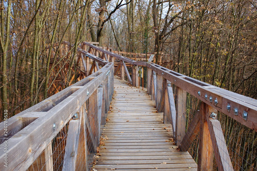 Wooden canopy trail