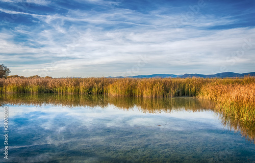 Lago azul en la estación de otoño. Parque Nacional de las Tablas de Daimiel. Ciudad Real. España. photo