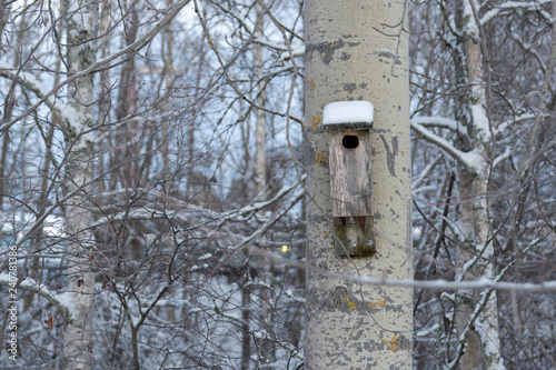 Birdhouse with snow on top on a aspen tree.. © Lars-Ove Jonsson