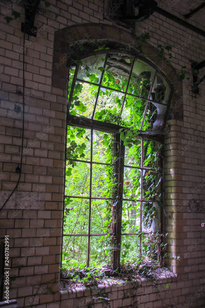Ruins of Beelitz-Heilstätten Lost place Berlin Brandenburg; Ruins of Beelitz-Heilstätten Lost place Berlin Brandenburg;