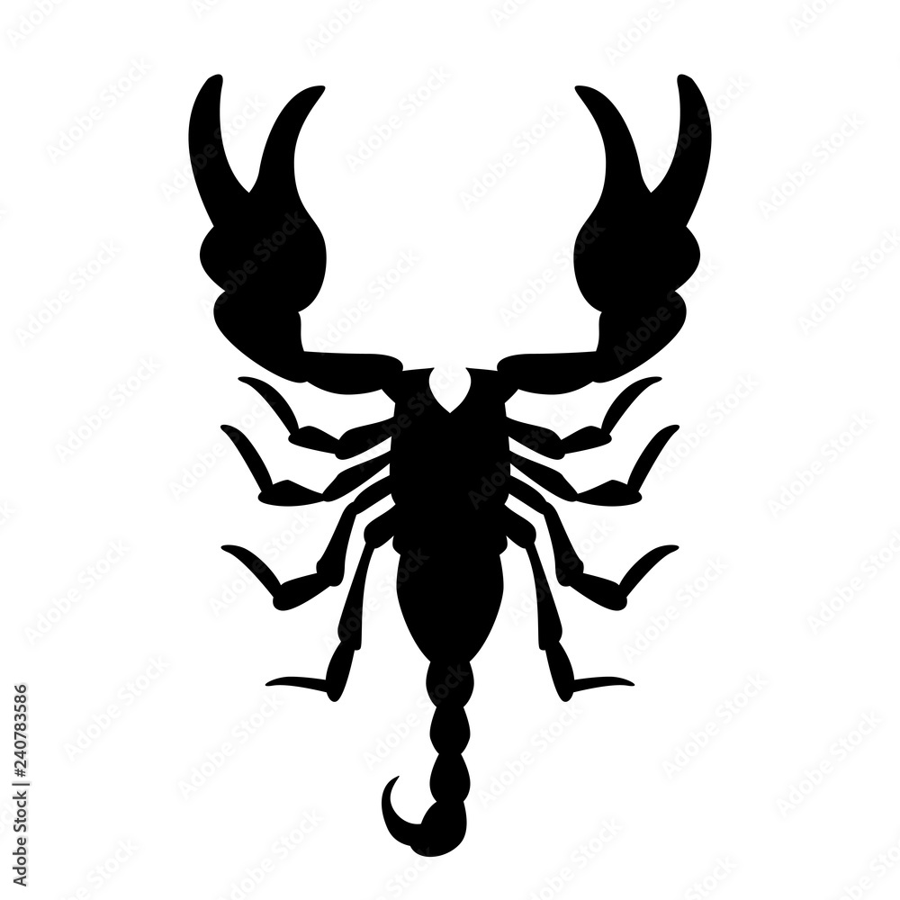 Scorpio vector illustration, black silhouette Scorpio vector illustration, black silhouette