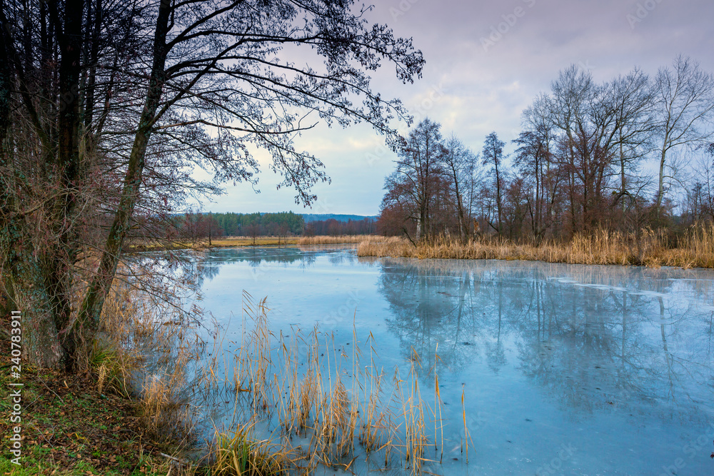 Obraz premium frozen lake in forest