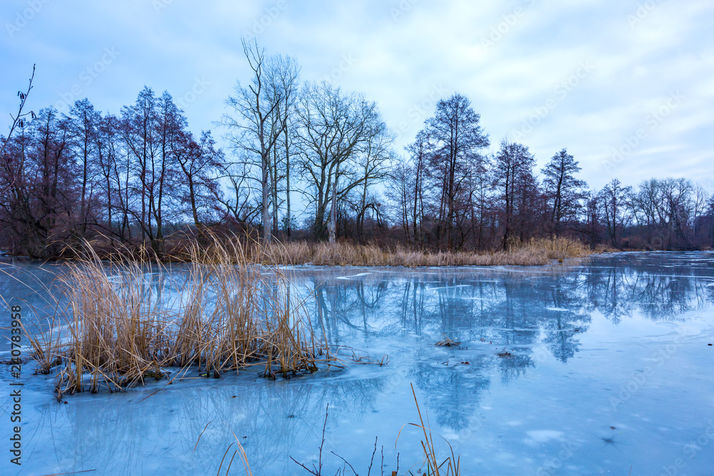 old lake in winter forest