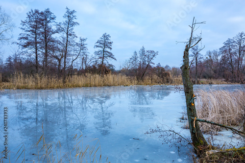 winter lake in forest