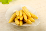 Young baby corn