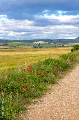 Scenic May landscape as seen from an unpaved country road on the Camino de Santiago, Way of St. James, the town of Sansol in Navarre, Spain in the distance