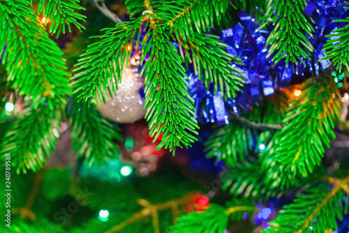 Christmas tree branches with Christmas lights, texture, blurry background