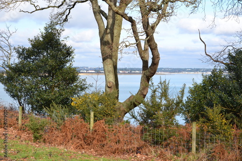 Dorset Coast