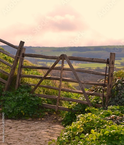 Countryside Field Gate