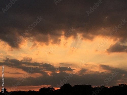 Sunset Beauty