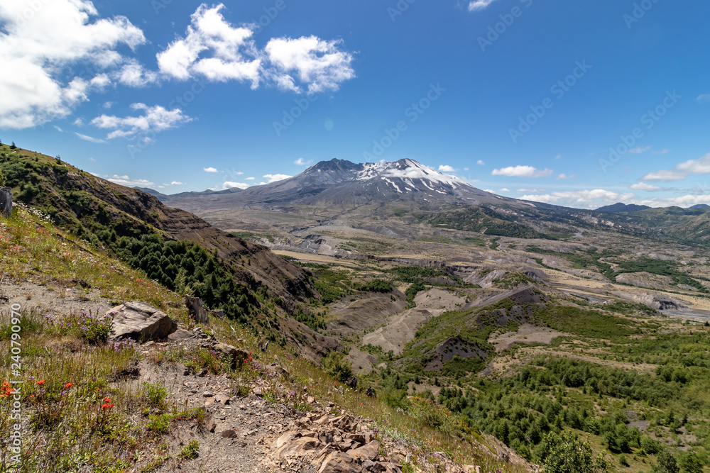 Mt. St. Helens 