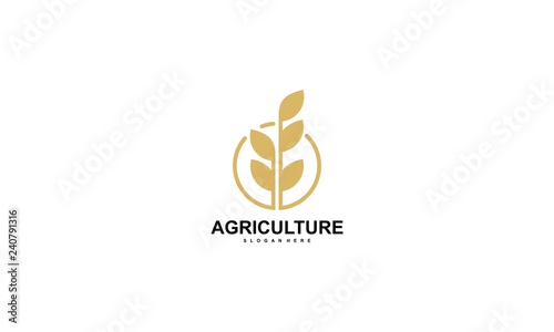 Rice Logo Design Vector - Vector,Agriculture wheat Logo Template vector icon design - Vector