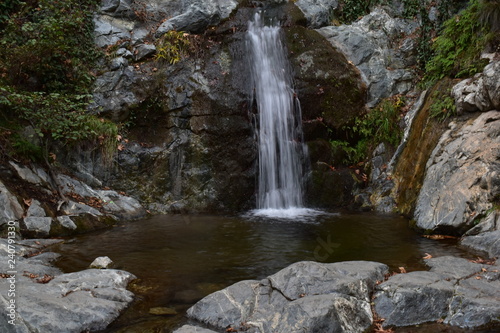 waterfall in the forest