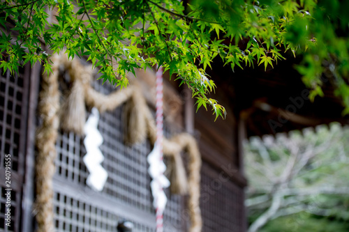 須賀神社 photo