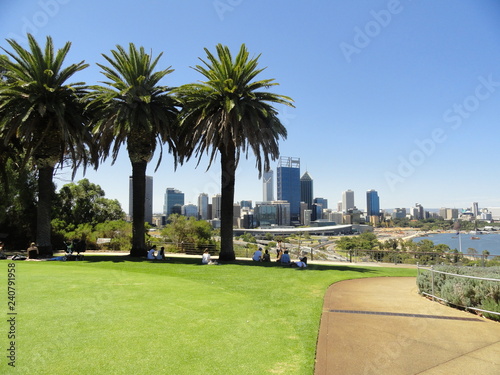 Palm trees and skyline against a clear blue sky. Green lawn, concrete sidewalk, people resting in the shadows of the trees. No clouds. View of Perth from the Kings Park, Western Australia. Swan river.