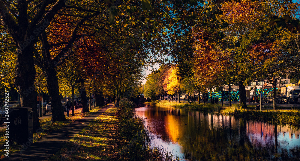Fototapeta premium A lovely scene from Dublin Canal. Very colorful autumn scene.
