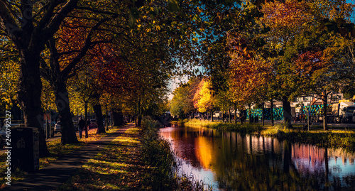 A lovely scene from Dublin Canal. Very colorful autumn scene. 