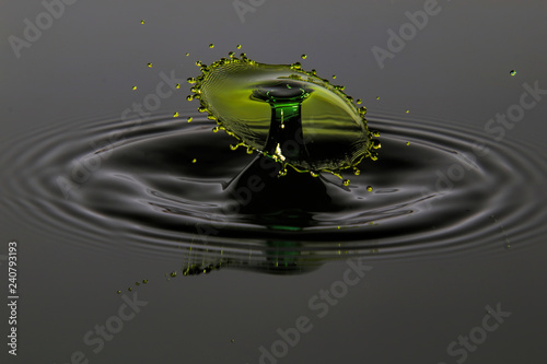 droplet falling in water photo