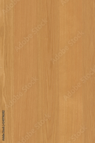 oak tree timber wood wallpaper backdrop structure texture background