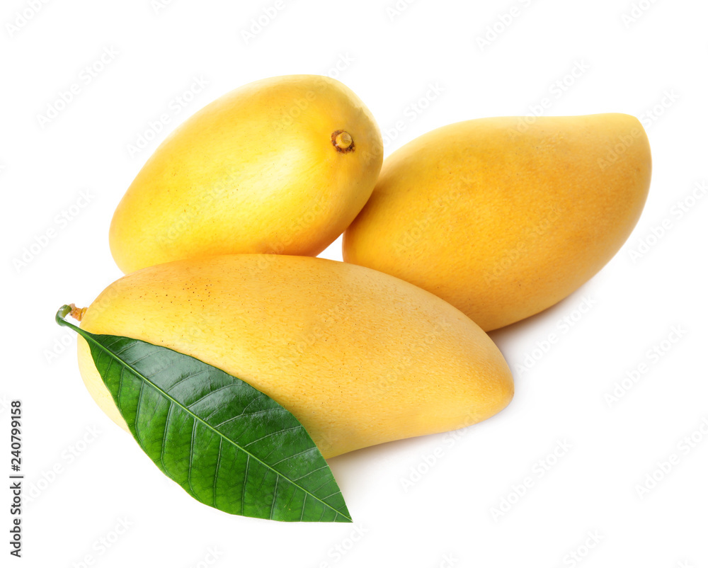 Fresh ripe mango fruits isolated on white