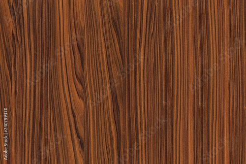 jacaranda timber tree wood grain structure texture background backdrop