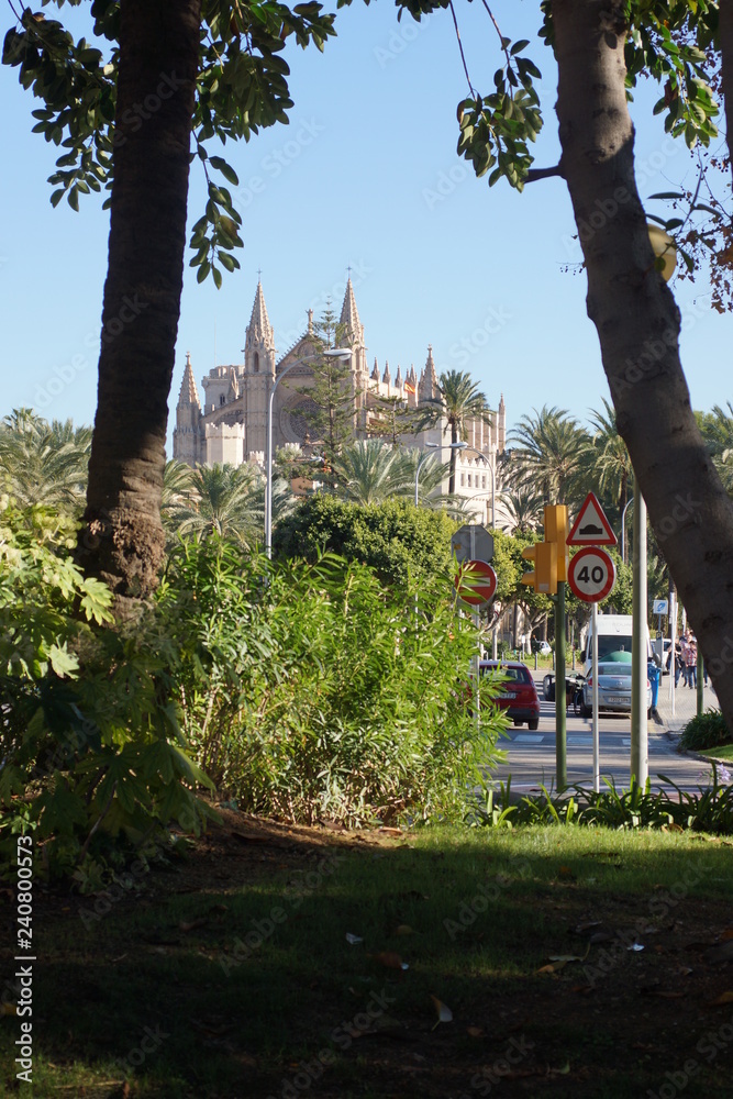 Obraz premium stadt palma de mallorca