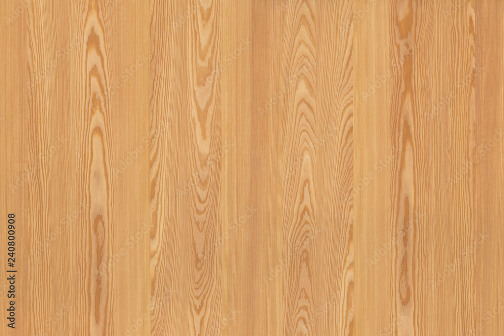 pine tree timber wood surface wallpaper structure texture background pine tree timber wood surface wallpaper structure texture background