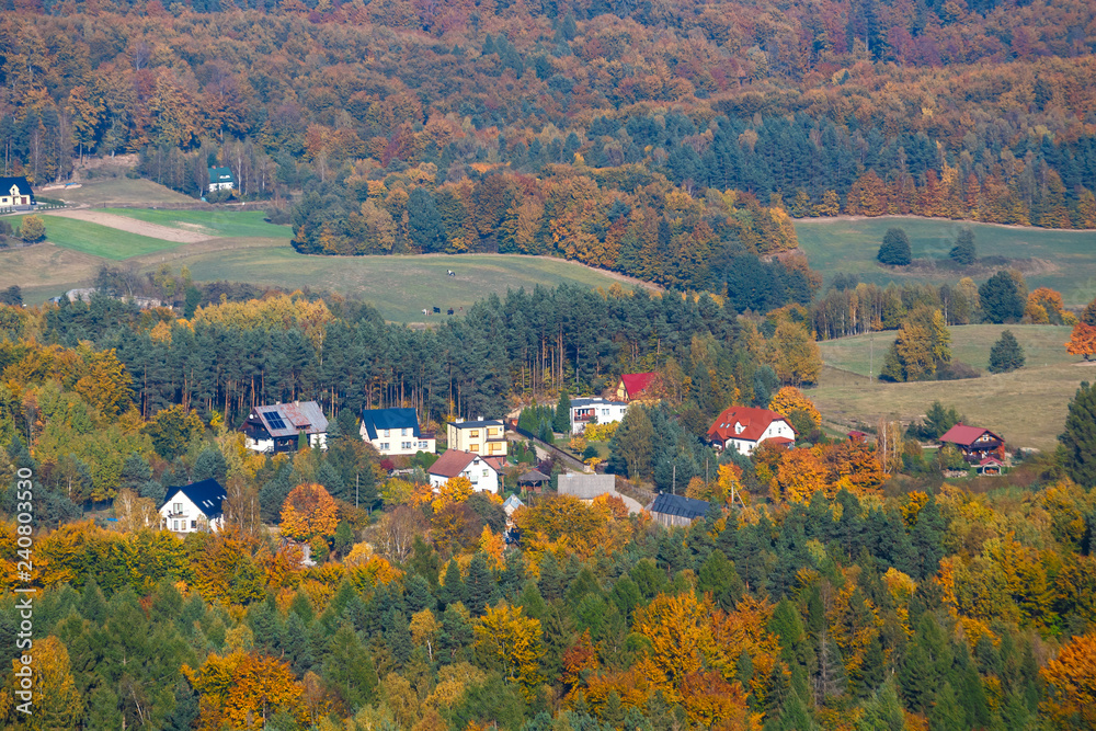 aerial view of the autumn forest, the Kashubian region, Gda?sk Pomerania