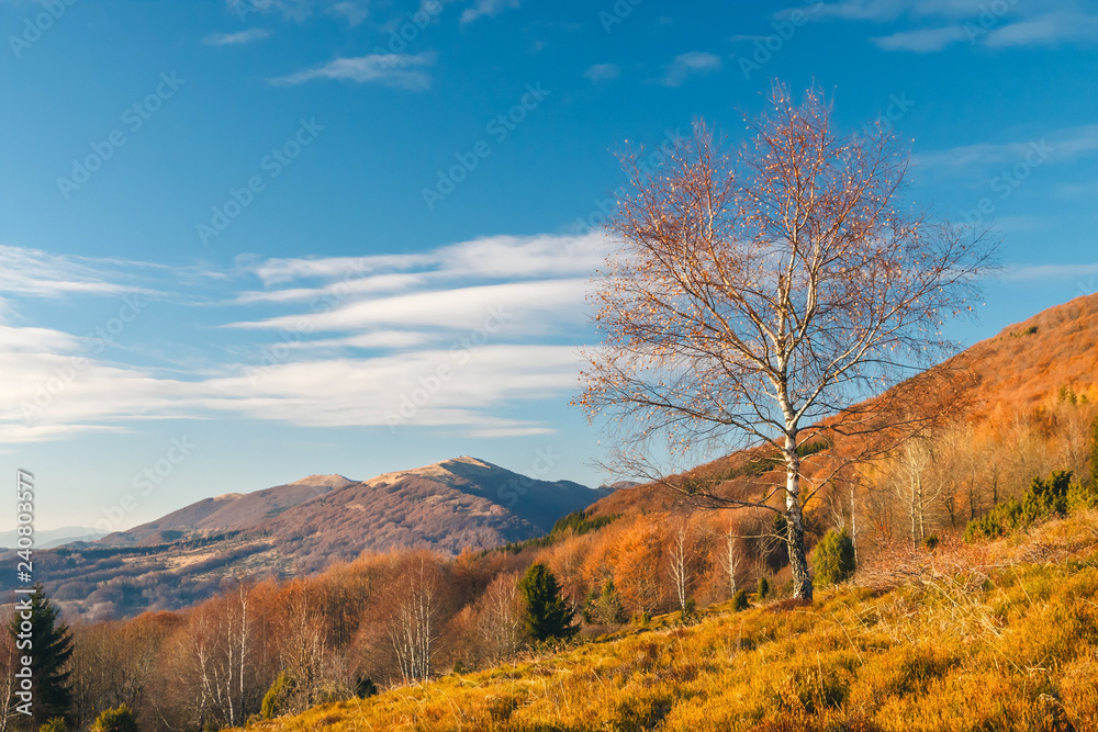 Autumn landscape in Bieszczady Mountains, south east Poland