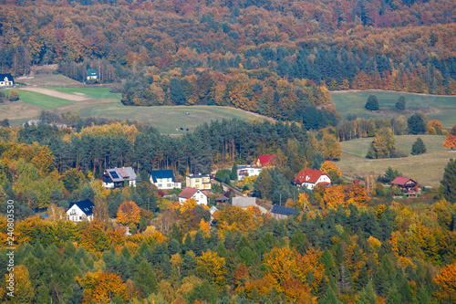 aerial view of the autumn forest, the Kashubian region, Gda?sk Pomerania photo