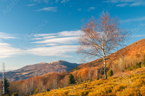 Autumn landscape in Bieszczady Mountains, south east Poland