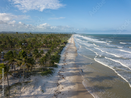 Drone aerial view of Brazilian tropical beach with coconut trees